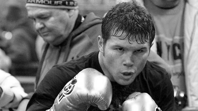 Canelo Alvarez spars for the media on his upcoming fight withSugar Shane Mosley during a media workouts at their respective camps in Big Bear Lake, Calif.April 11,2012. photo by Gene Blevins/Hogan Photos