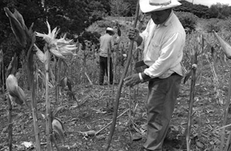 Campo olvidado por gobierno panista