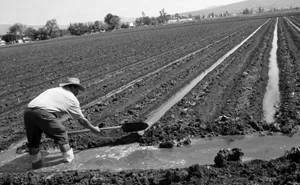 Agua para riego agrícola