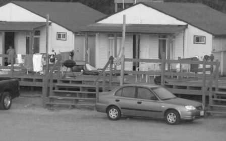 cabañas playa bagdad