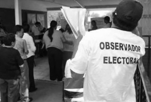 Observador_Electoral