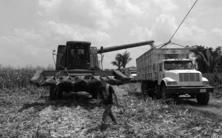 procampo agricultores