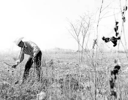 campo_sequia