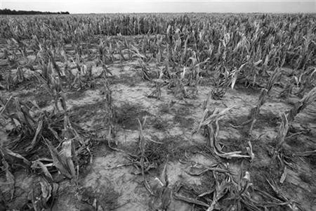 lluvia en el campo