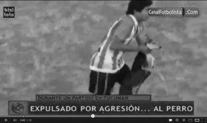 video_perro_agresion