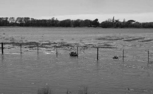 Campo-inundado