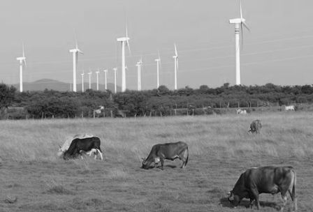 tamaulipas energia eolica