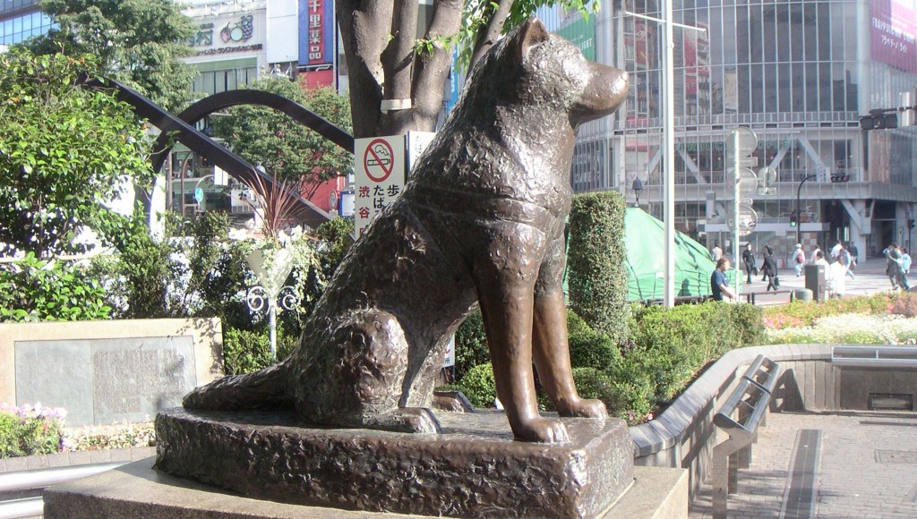 hachiko200505-41