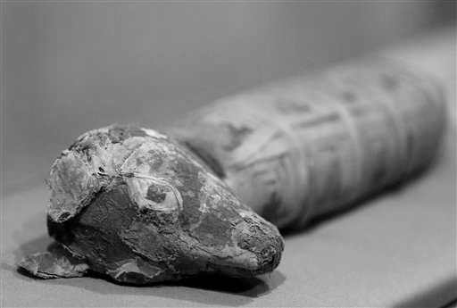 Foto del 20 de marzo de 2014 de un perro momificado que es parte de la exhibición "Criaturas entrañables: Momias animales en el Antiguo Egipto", en el Museo Bowers del condado de Orange, en Santa Ana, California. (Foto AP/Damian Dovarganes)