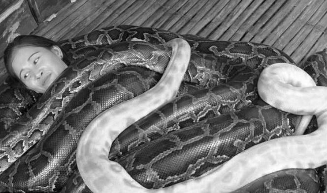 masajes-serpientes