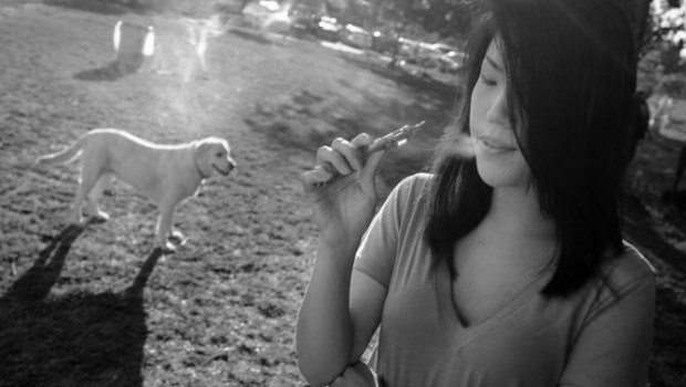 fumar mata perro
