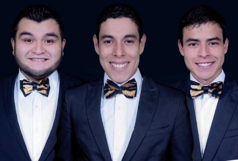 ls tres tristes tigres